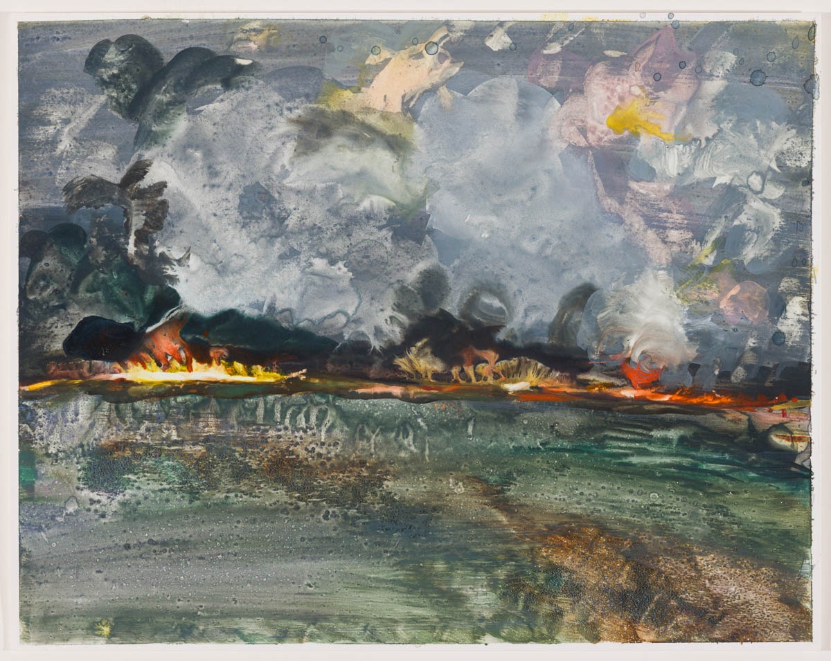Molly Segal, Fire Study